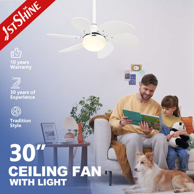 Mua White Ceiling Fan Light Phòng trẻ em DC Motor 30 Inch Mini LED Ceiling Fan sản xuất trực tuyến